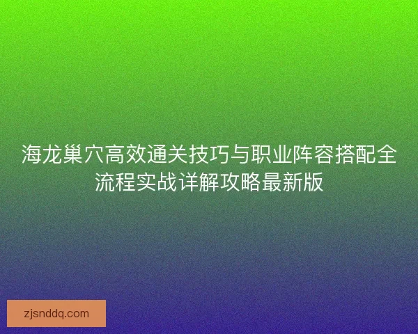 海龙巢穴高效通关技巧与职业阵容搭配全流程实战详解攻略最新版