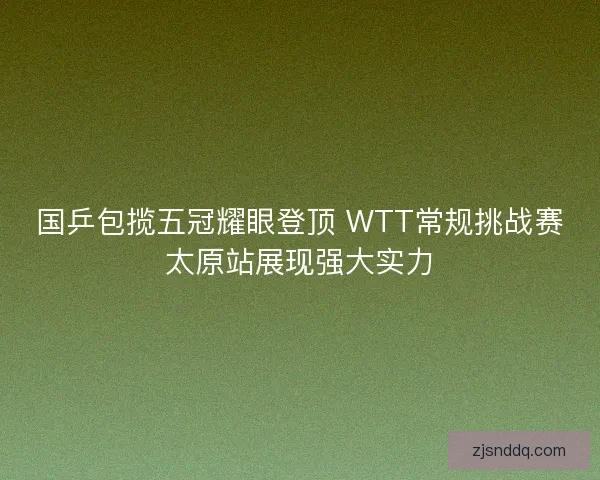国乒包揽五冠耀眼登顶 WTT常规挑战赛太原站展现强大实力