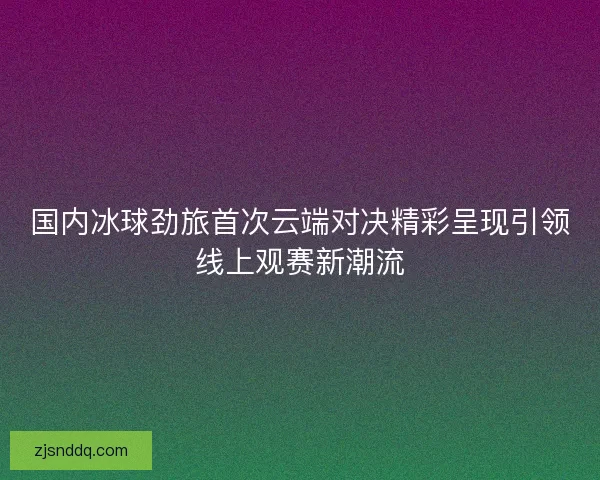 国内冰球劲旅首次云端对决精彩呈现引领线上观赛新潮流